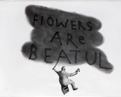 Flowers are beautiful