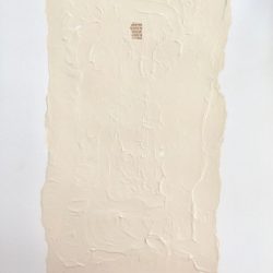 50 x 39 cm